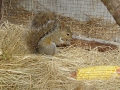 DSC09465
