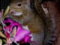 DSCN3432