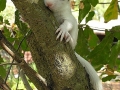 DSCN3724