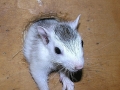 DSCN4260