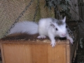 DSCN4261