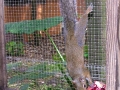 DSCN5567