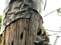 DSCN5578