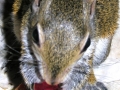 DSCN5644