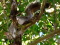 DSCN5957_(2)