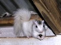 DSCN6753