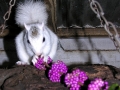 DSCN6882