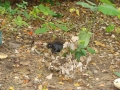 Nov.23,09_075