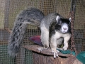DSCN2237