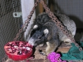 DSCN2681