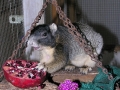 DSCN2682