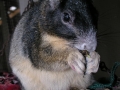 DSCN2687