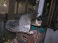 DSCN2778