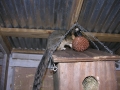 DSCN3011
