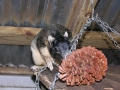 DSCN3012