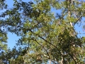 DSCN3165
