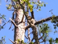 DSCN3170