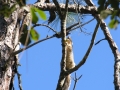 DSCN3172