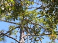 DSCN3173