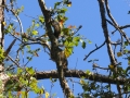 DSCN3175