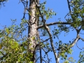 DSCN3176