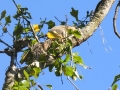 DSCN3177