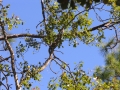 DSCN3178