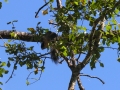 DSCN3179