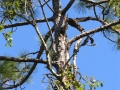 DSCN3183