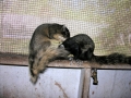DSCN6705