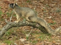DSCN7241