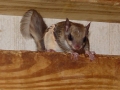 DSC06189
