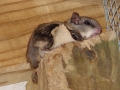 DSC06191