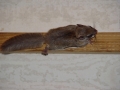 DSC06385
