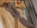 DSC06393