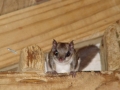 DSC06397