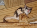 DSC06648