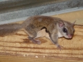 DSC06649