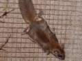 DSC06653