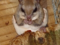 DSC06665