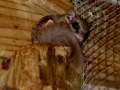 DSC06935