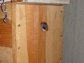 DSC07006