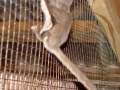 DSC07013