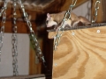 DSC07014