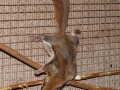 DSC07026