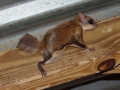 DSC09659