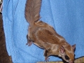 DSC09665
