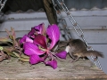 DSCN0065