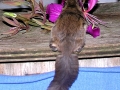 DSCN0069