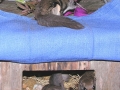 DSCN0075